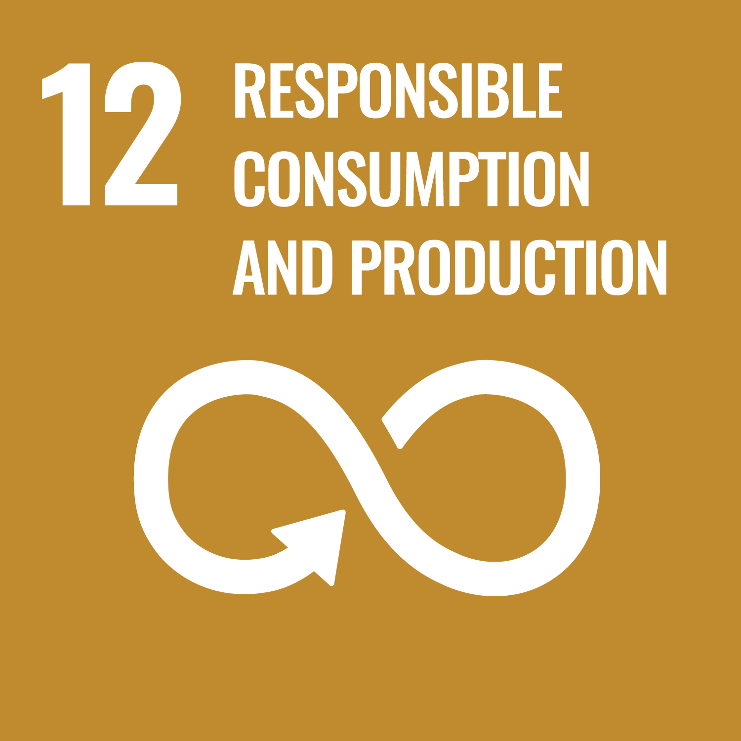 UN SDGs