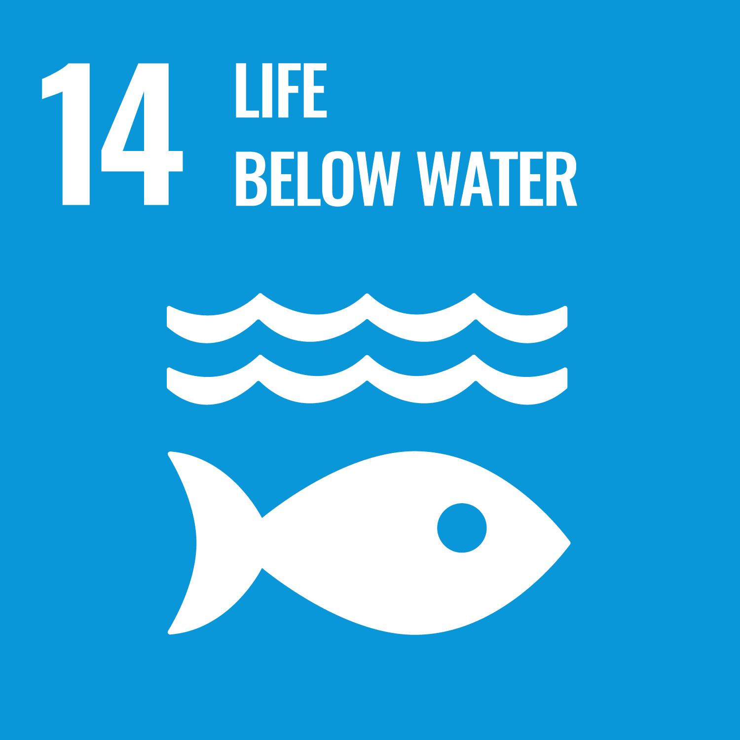 UN SDGs