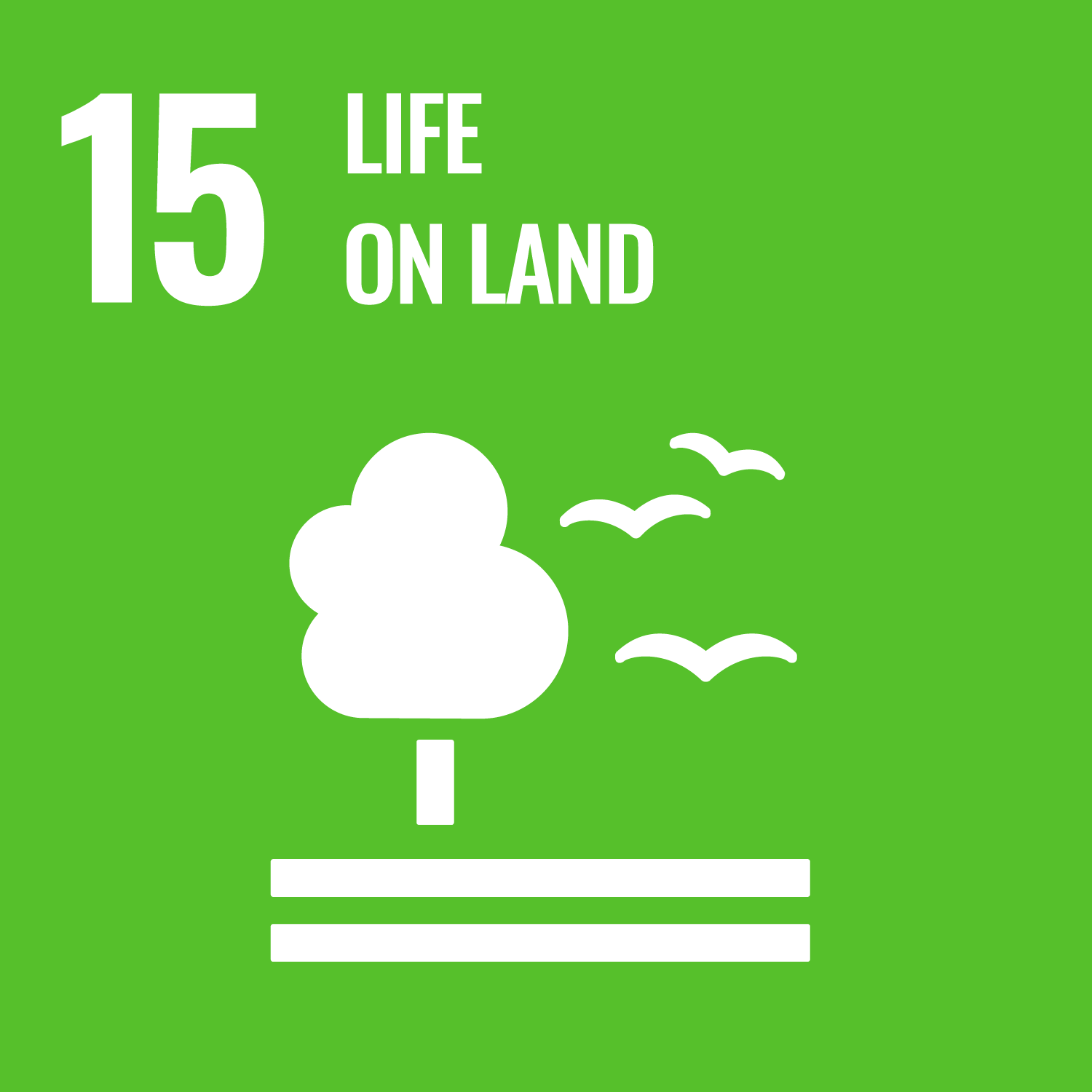 UN SDGs