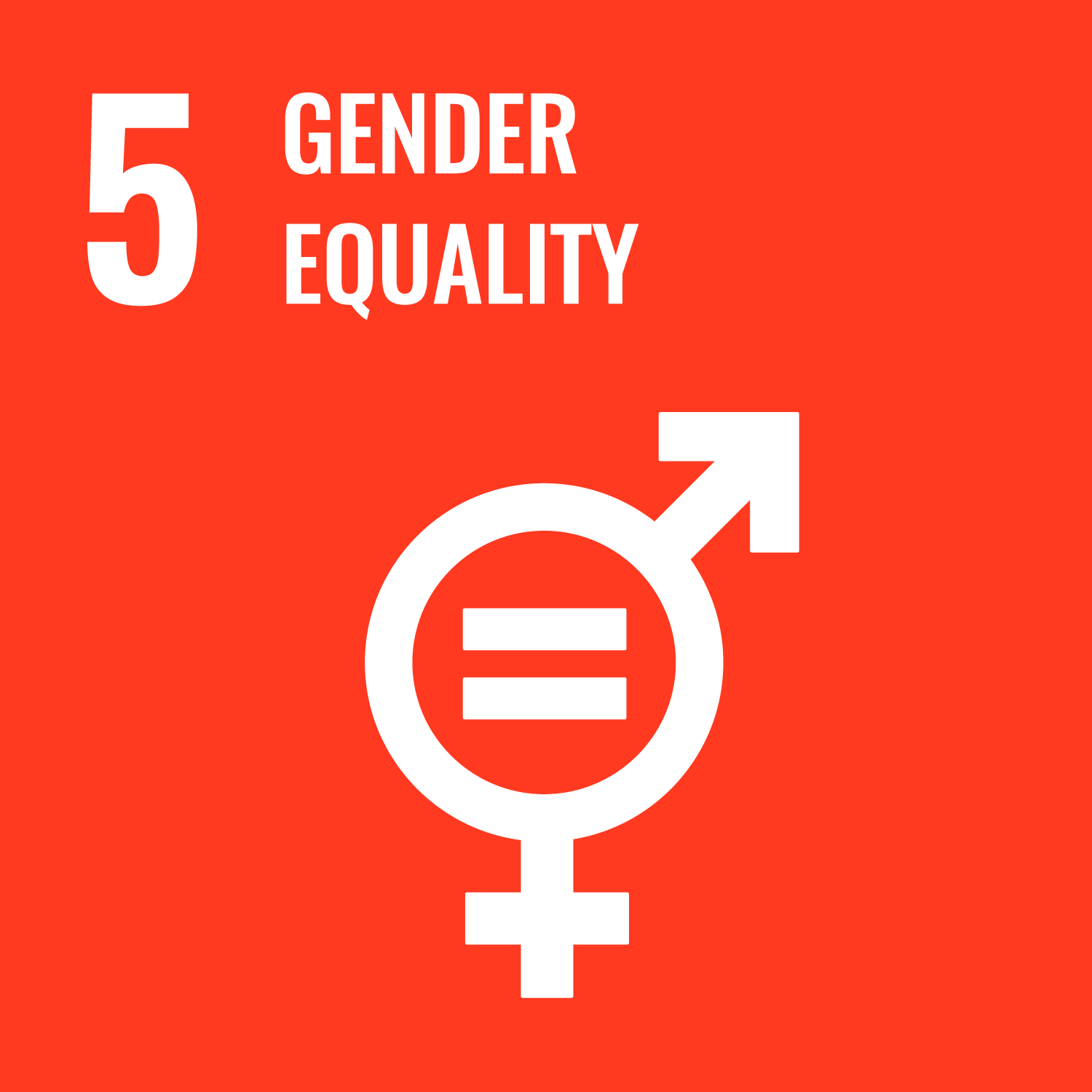 UN SDGs